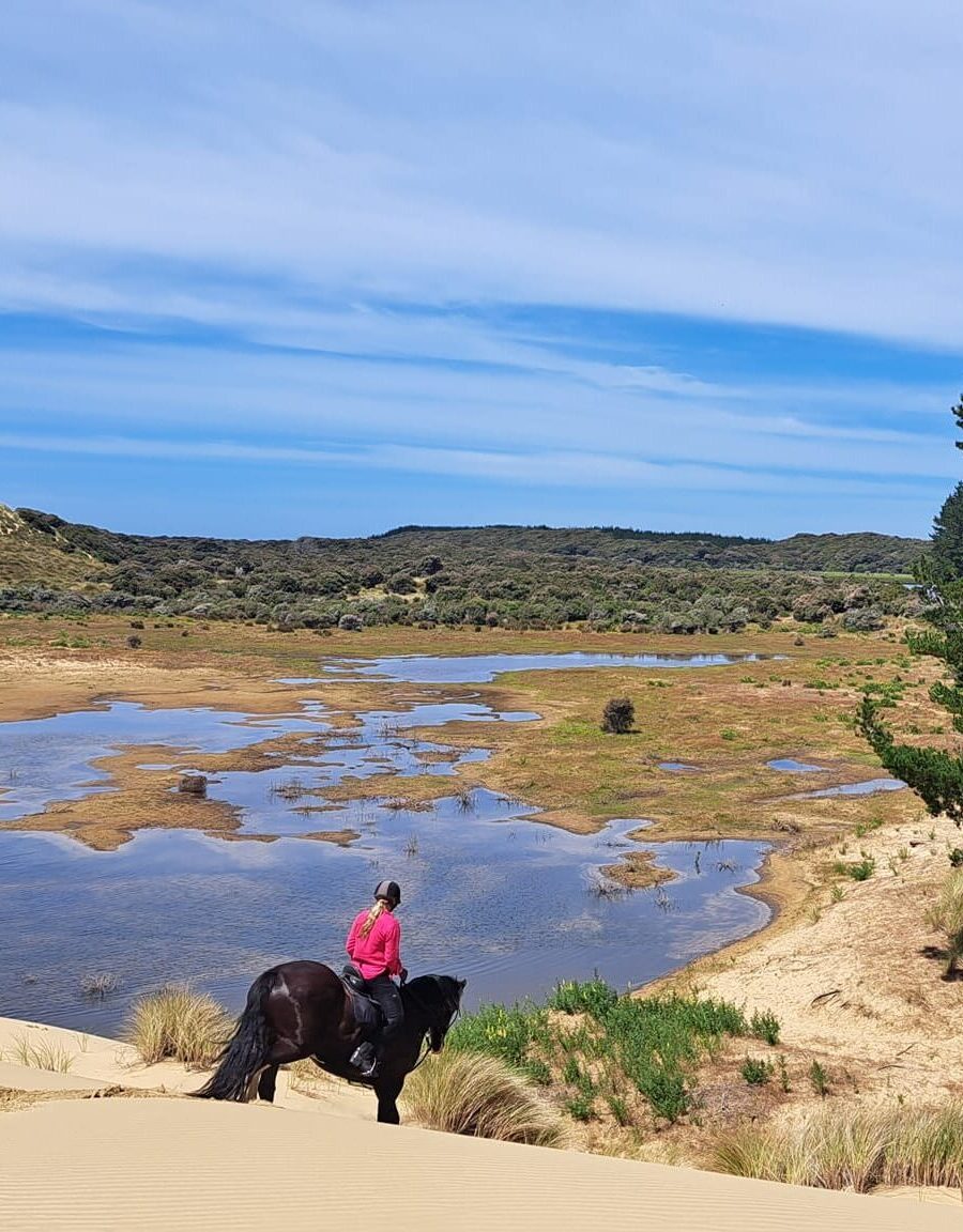 Heaven on Horseback